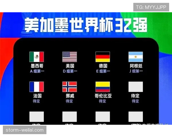 加纳世界杯小组赛资料：末轮失利无缘出线